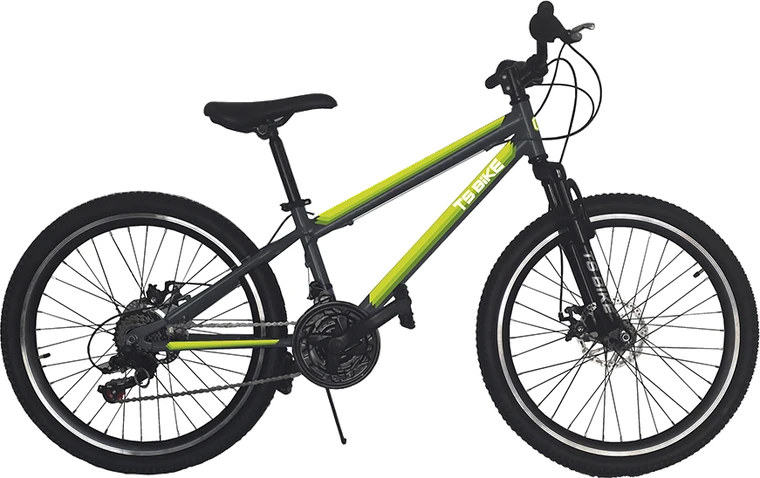 Bicicleta TS Bike Aro 24 M1