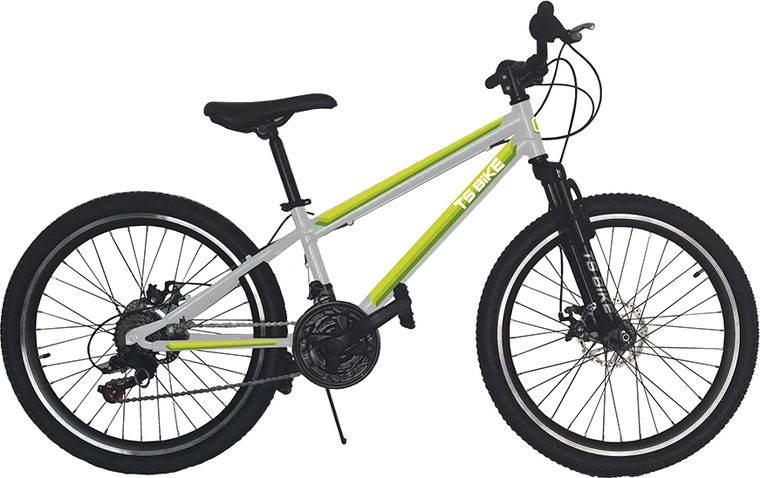 Bicicleta TS Bike Aro 24 M1