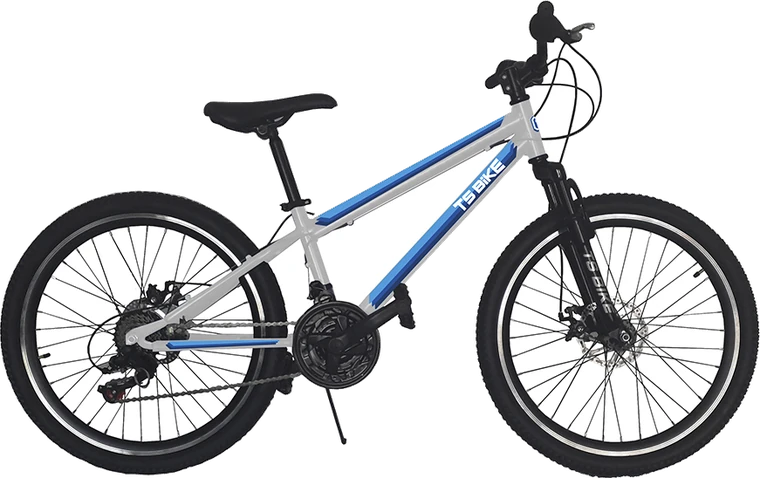 Bicicleta TS Bike Aro 24 M1