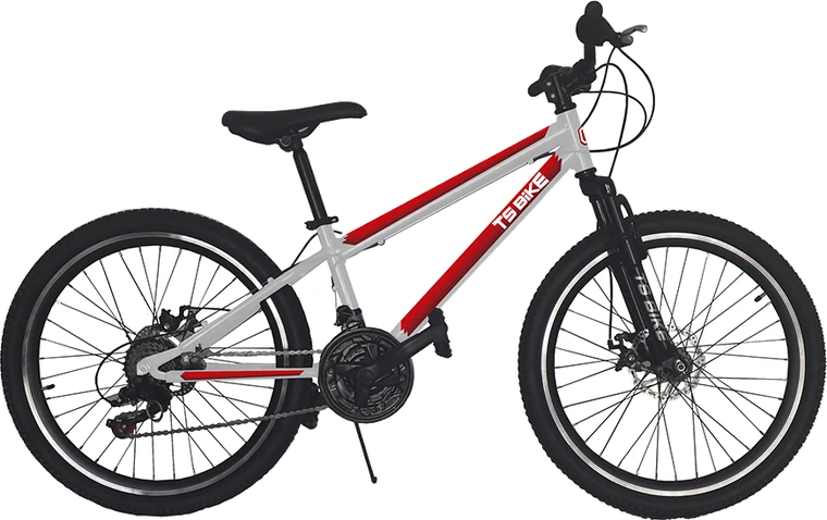 Bicicleta TS Bike Aro 24 M1