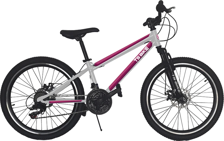 Bicicleta TS Bike Aro 24 M1