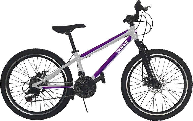 Bicicleta TS Bike Aro 24 M1
