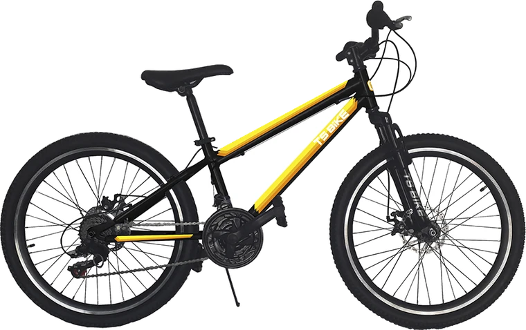Bicicleta TS Bike Aro 24 M1