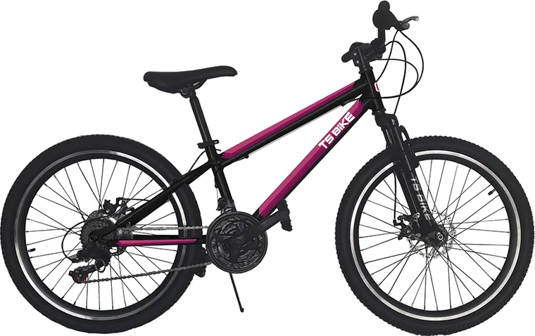 Bicicleta TS Bike Aro 24 M1