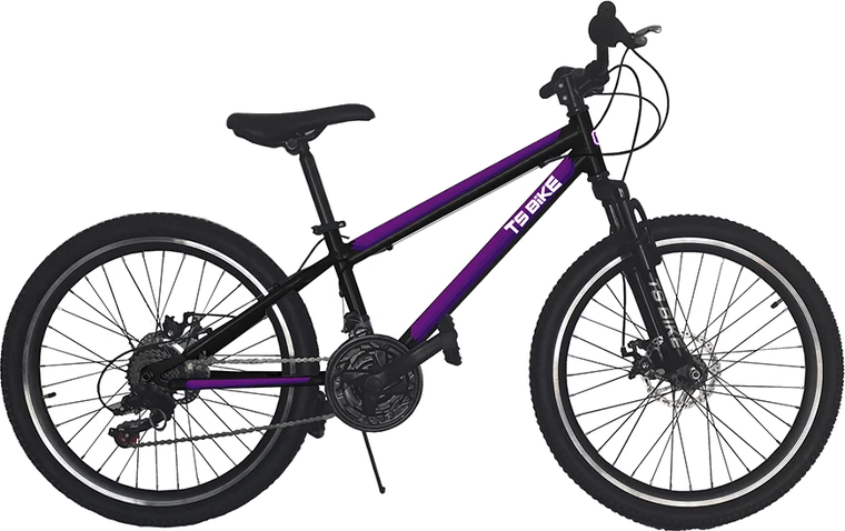 Bicicleta TS Bike Aro 24 M1