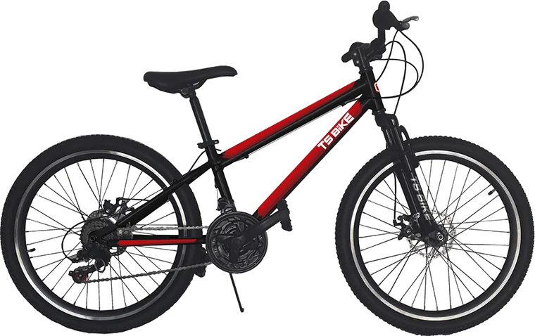Bicicleta TS Bike Aro 24 M1