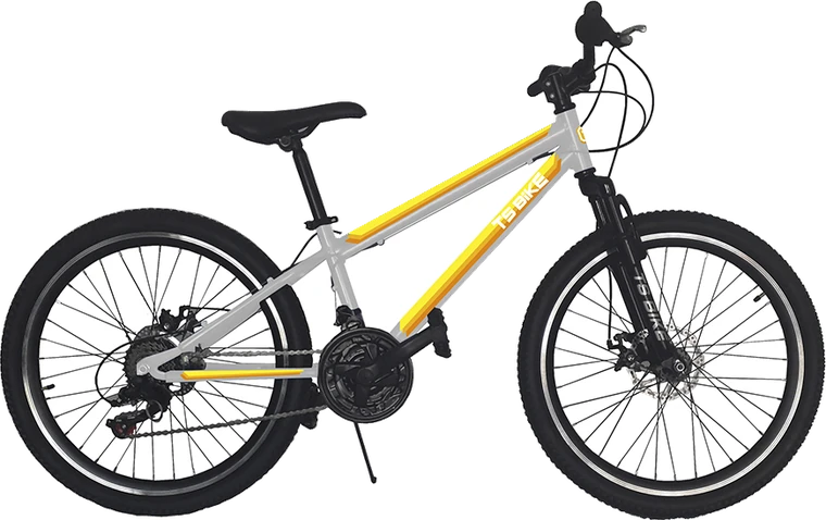 Bicicleta TS Bike Aro 24 M1