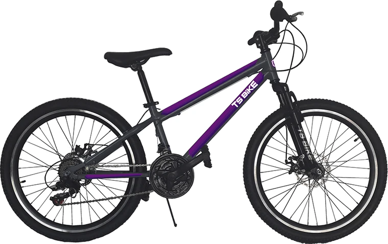 Bicicleta TS Bike Aro 24 M1