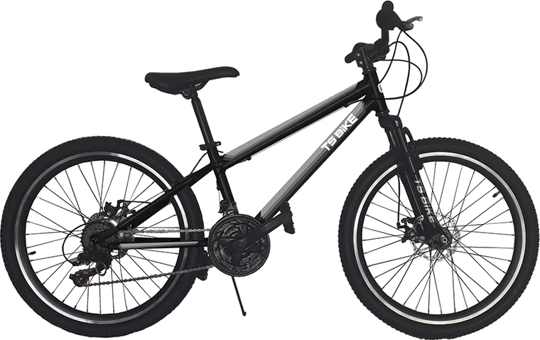 Bicicleta TS Bike Aro 24 M1