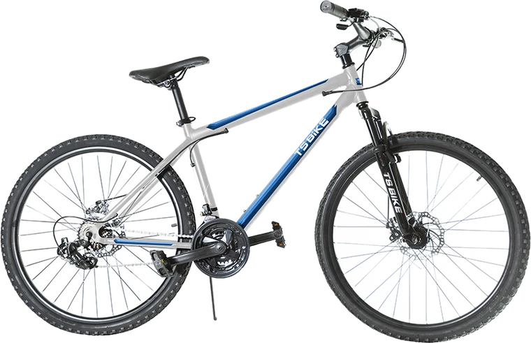 Bicicleta TS Bike Aro 26 M1