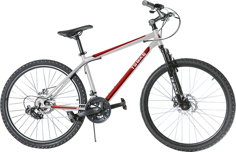 Bicicleta TS Bike Aro 26 M1