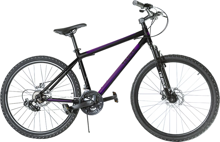 Bicicleta TS Bike Aro 26 M1