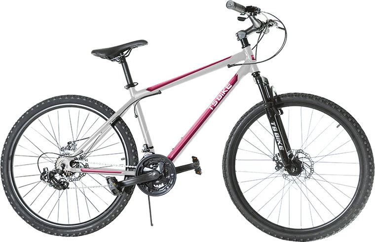 Bicicleta TS Bike Aro 26 M1