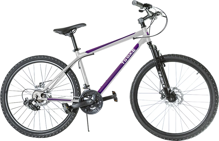 Bicicleta TS Bike Aro 26 M1