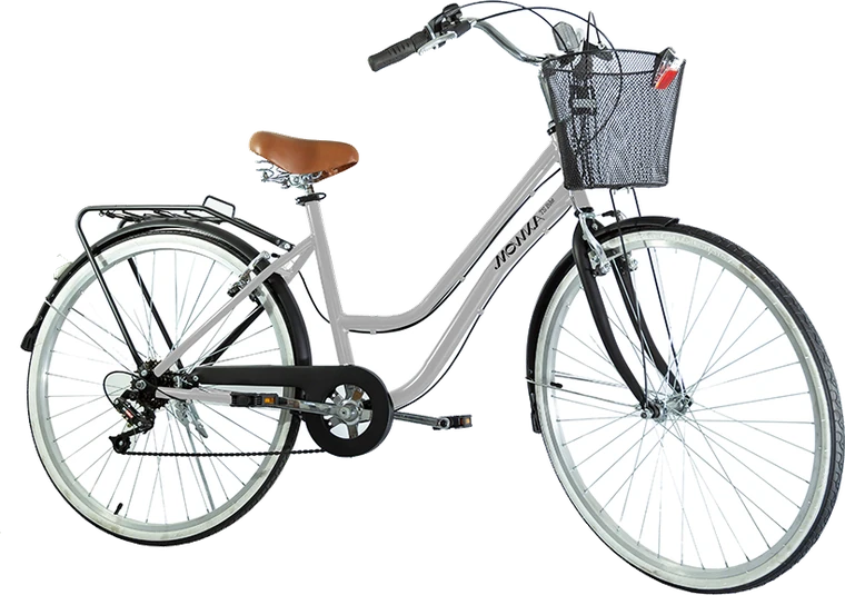 Bicicleta TS Bike Mowka M1