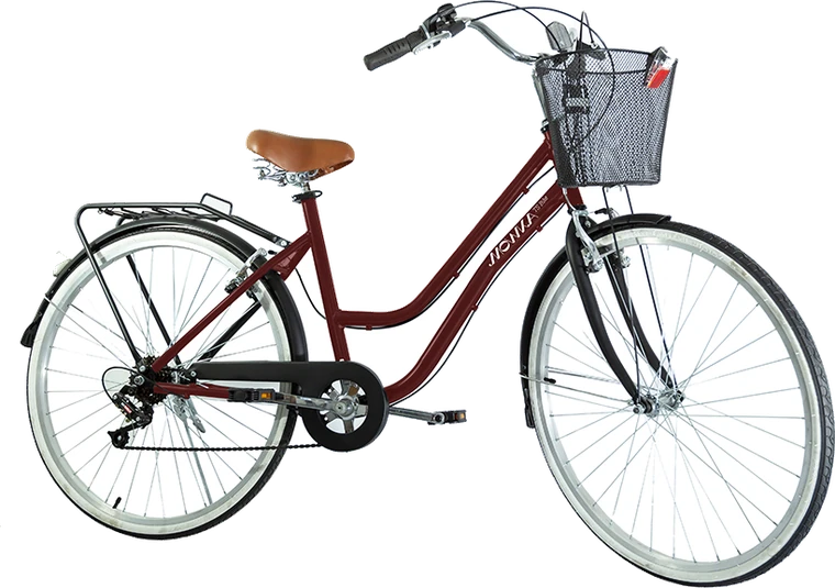 Bicicleta TS Bike Mowka M1